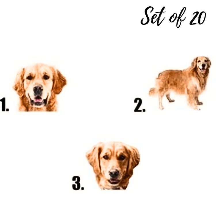 Golden Retriever Waterslide Nail Decals | Set of 20 High-Quality Stickers for Unique Nail Art