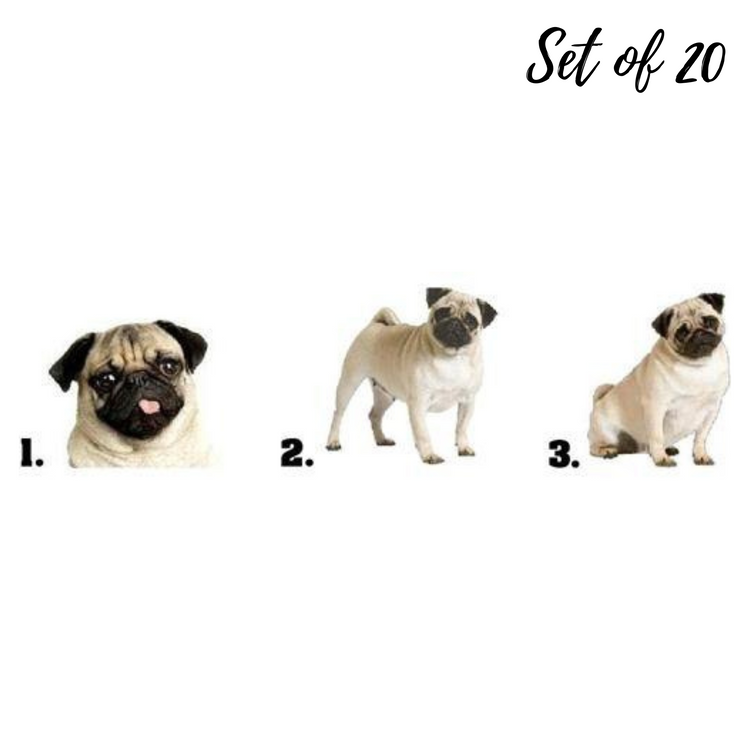 Pug Nail Art Waterslide Decal Stickers for Creative Manicures