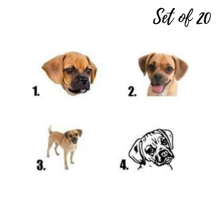 Puggle Nail Art Waterslide Decal Stickers for Creative Manicures