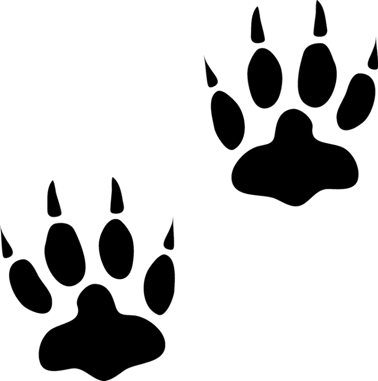 Paw Print Nail Decals Stickers Water Slides Nail Art - Nails Creations