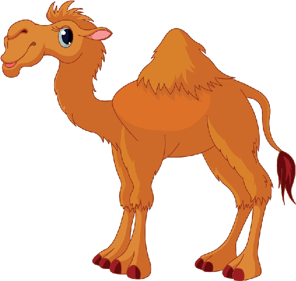 Camel Nail Decals Stickers Water Slides - Nails Creations