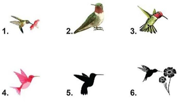 Hummingbird Nail Decals Stickers Water Slides Nail Art - Nails Creations