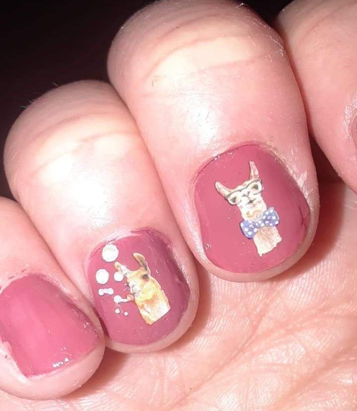 Llama and Frog Waterslide nail decals Assorted Set - Nails Creations - Nails Creations