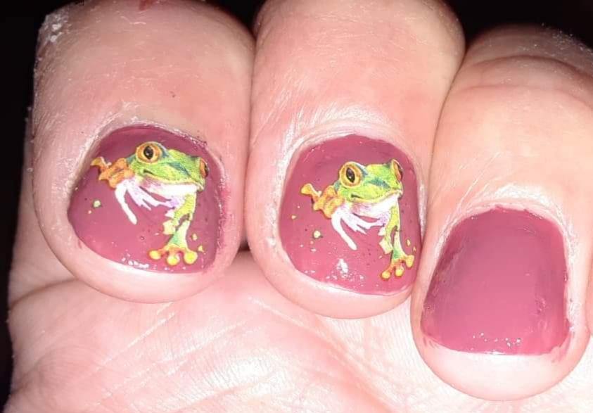Llama and Frog Waterslide nail decals Assorted Set - Nails Creations - Nails Creations