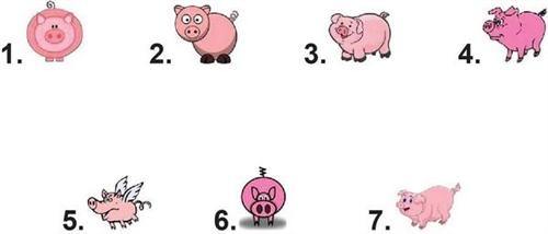 Pig Waterslide Nail Decals - Nails Creations