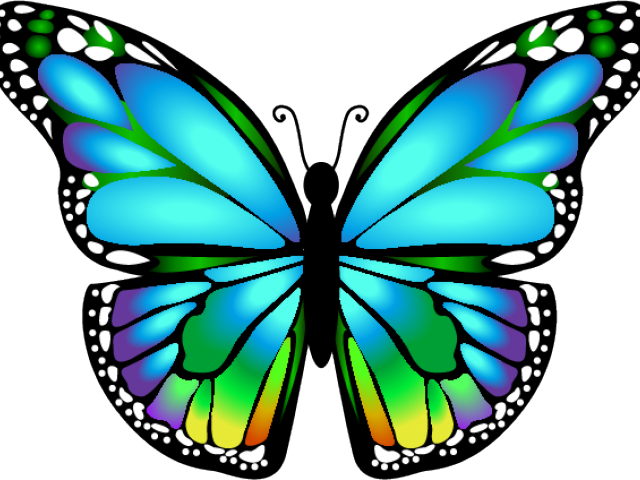 Teal Aqua Butterfly - Nail art Waterslide Decals - Nails Creations - Nails Creations