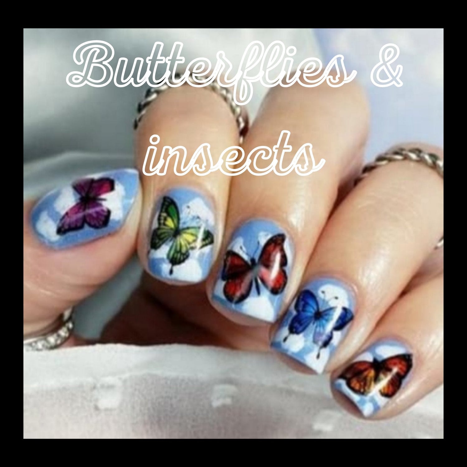 Butterflies & Insects