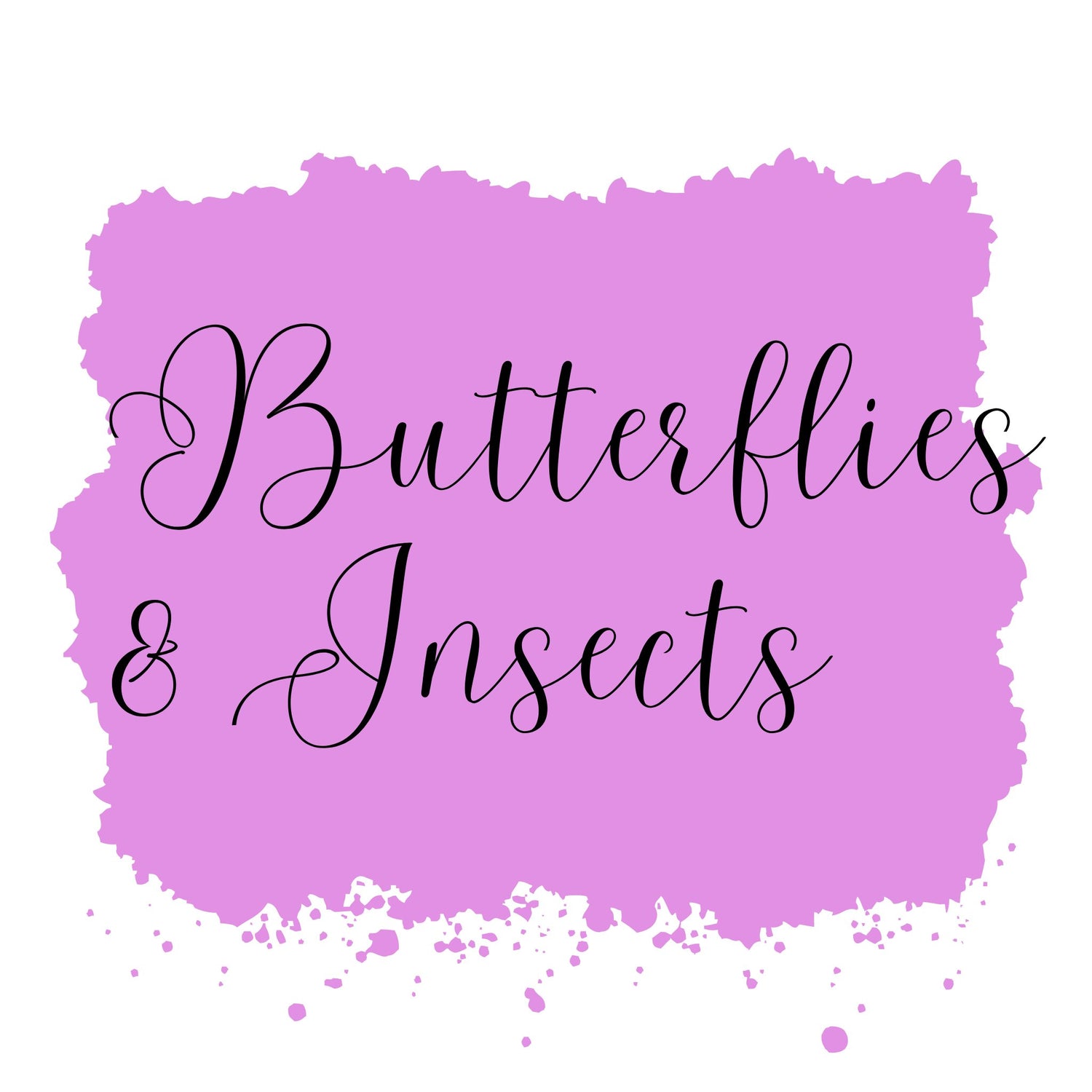 Butterflies & Insects