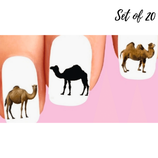 Camel Assorted Set of 20 Waterslide Nail Decals