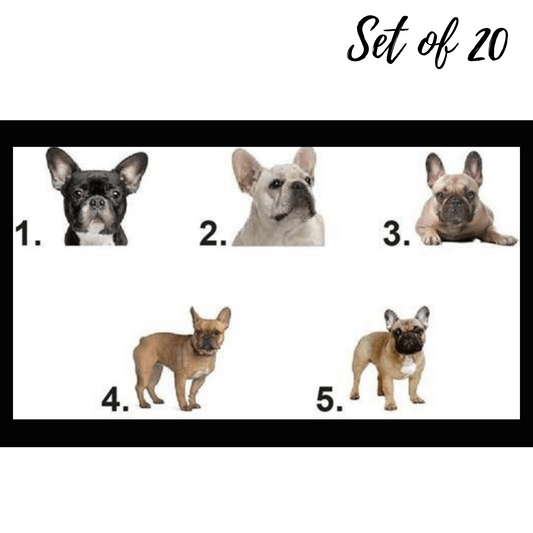 Set of 20 French Bulldog Waterslide Nail Decals - Cute Dog Nail Art Stickers