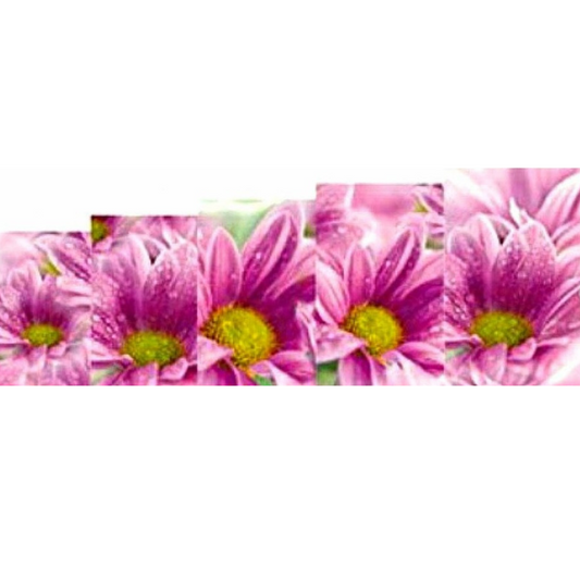 Floral Nail Art Water Slide Decals – Elegant Flower Nail Stickers