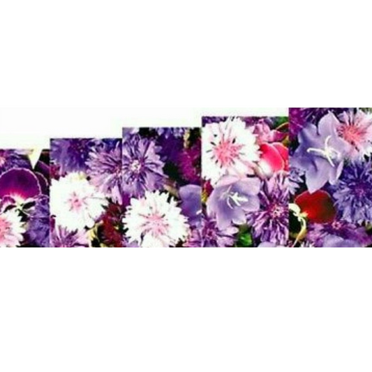 Floral Nail Art Water Slide Decals – Elegant Flower Nail Stickers