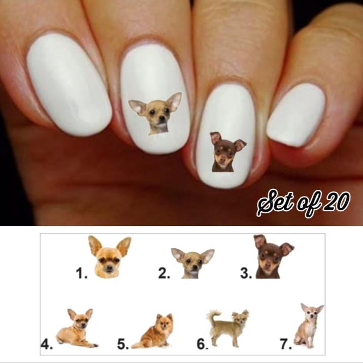 "Chihuahua Dog Nail Decals - Water Slide Nail Art Stickers for DIY Manicure"