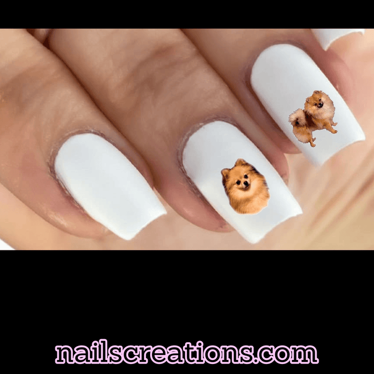 Pomeranian Waterslide Nail Decals - Nails Creations