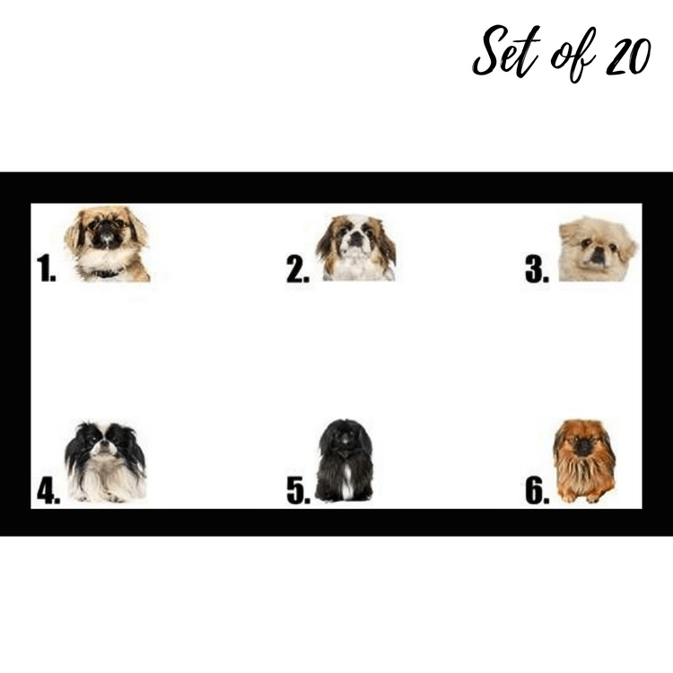 Pekingese Waterslide Nail Decals