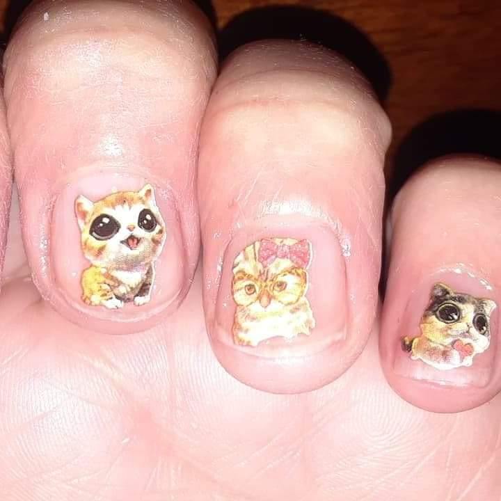 Cat Nail Decals Stickers Water Slides Nail Art - Nails Creations