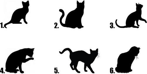 Black Cat Silhouette Nail Decals Stickers Water Slides Nail Art - Nails Creations