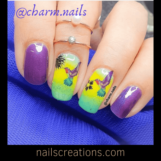 Blue and Purple Hummingbird Nail Decals Stickers Water Slides Nail Art - Nails Creations