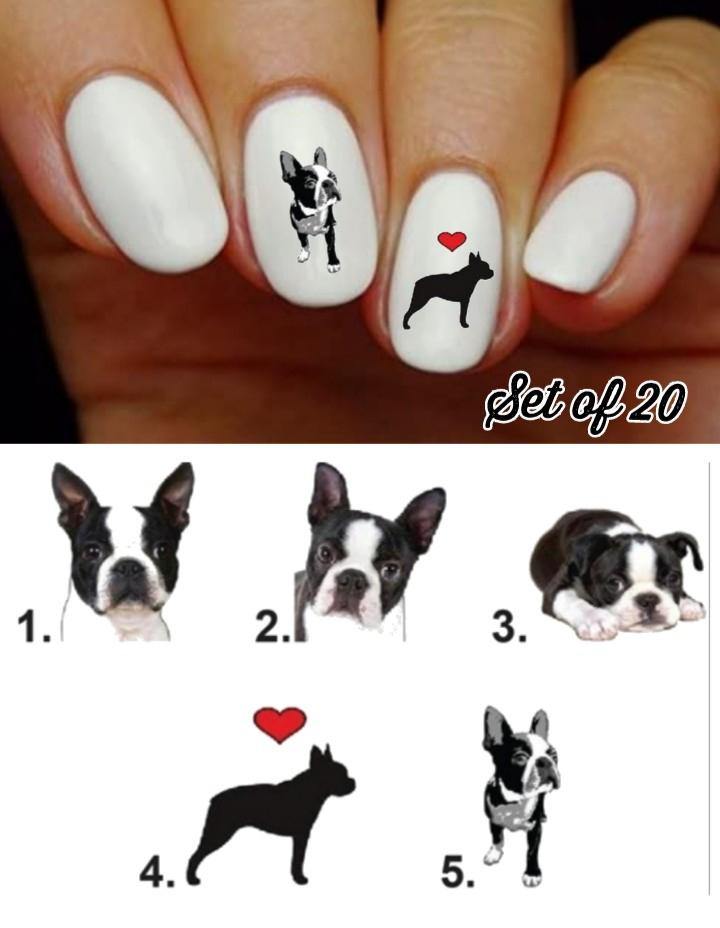 Boston Terrier Dog Nail Decals Stickers Water Slides Nail Art - Nails Creations