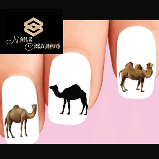 Camel Assorted Set of 20 Waterslide Nail Decals - Nails Creations