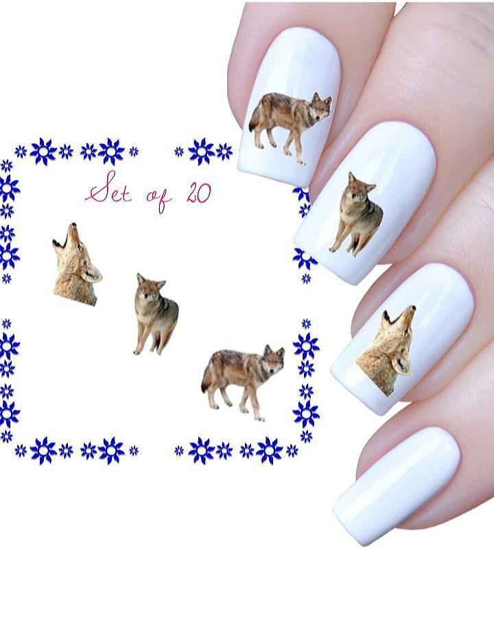 Coyote Assorted Waterslide Nail Decals - Nails Creations