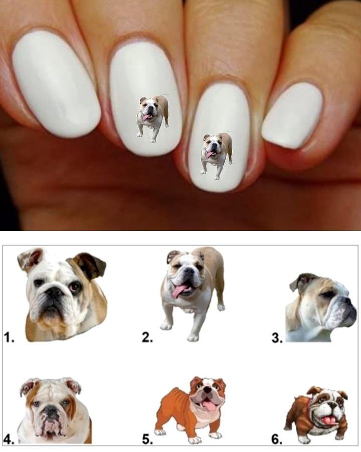 English Bulldog, Dog Nail Decals Stickers, Water Slides Nail Art - Nails Creations