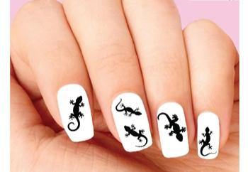 Gecko Lizard Silhouette Assorted Waterslide Nail Decals - Nails Creations