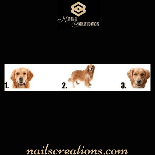 Golden Retriever Waterslide Nail Decals - Nails Creations
