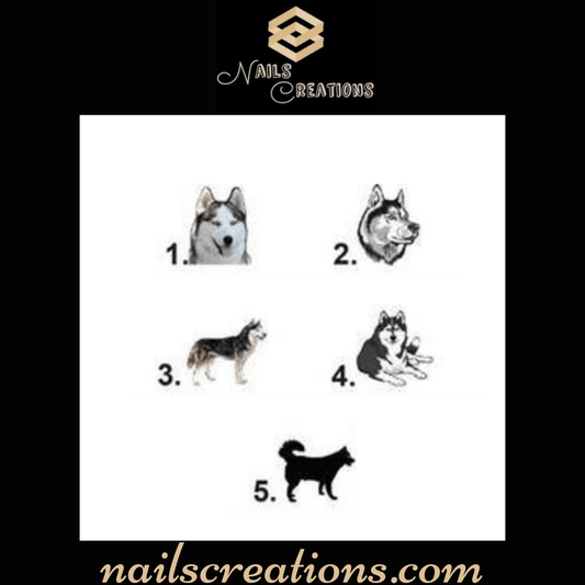 Husky Waterslide Nail Decals - Nails Creations