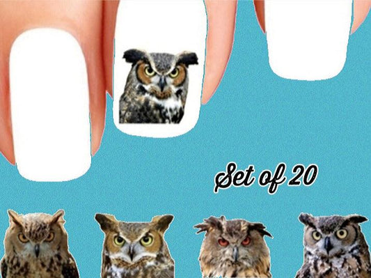 Owls Assorted Nail Decals Stickers Water Slides Nail Art - Nails Creations