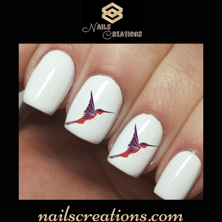Ruby Throated Hummingbird Assorted Nail Decals Stickers Water Slides Nail Art - Nails Creations