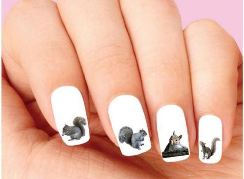 Squirrel Assorted Waterslide Nail Decals - Nails Creations