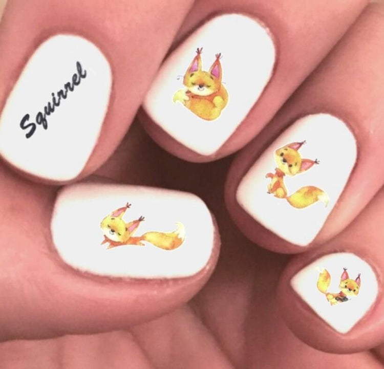 Squirrel Waterslide Nail Art Decals - Nails Creations Designs - Nails Creations