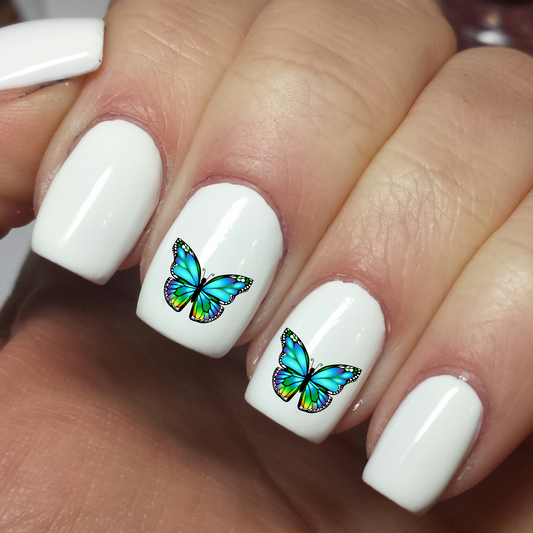Teal Aqua Butterfly - Nail art Waterslide Decals - Nails Creations - Nails Creations